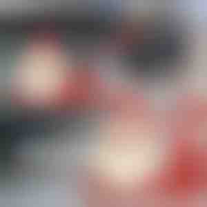 Weihnachtsmann-Aufkleber für die Heckscheibenwischer | SANTAWIPER