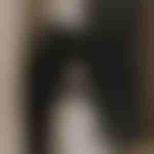 Leistungsstarker Abluftventilator für saubere Luft | VENTORIS